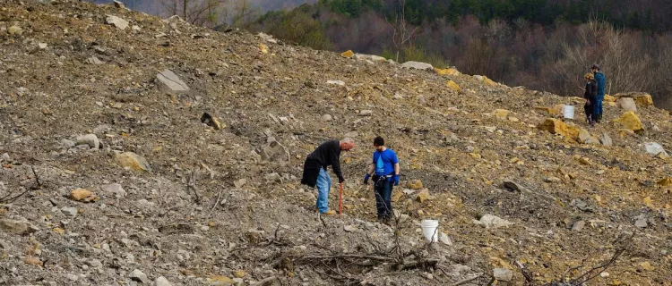 Local volunteers plant trees on mountain areas cleared for mining during a Green Forests Work event outside Pineville, Ky.