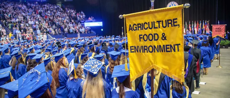 Grads stand at the 2022 commencement for the UK CAFE in Rupp Arena.