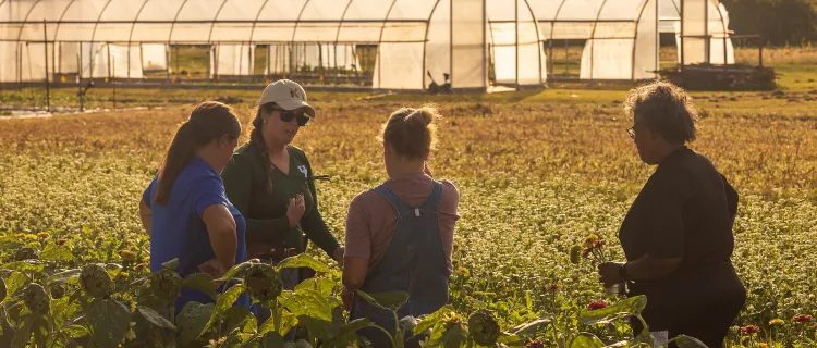 People work in a field on specialty crop day at the Horticulture Research Farm.