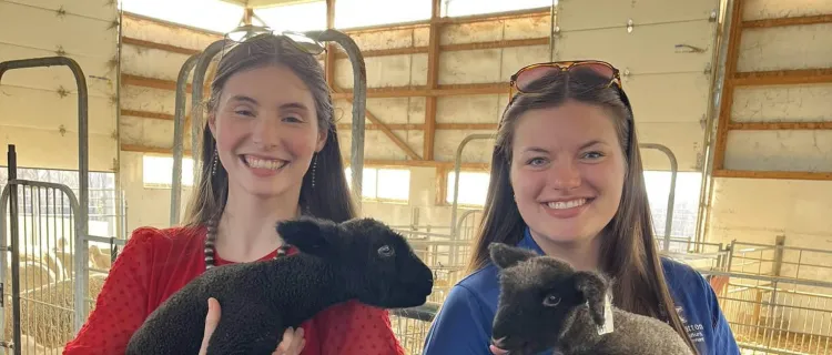 Collegiate Farm Bureau members hold ewes at a farm