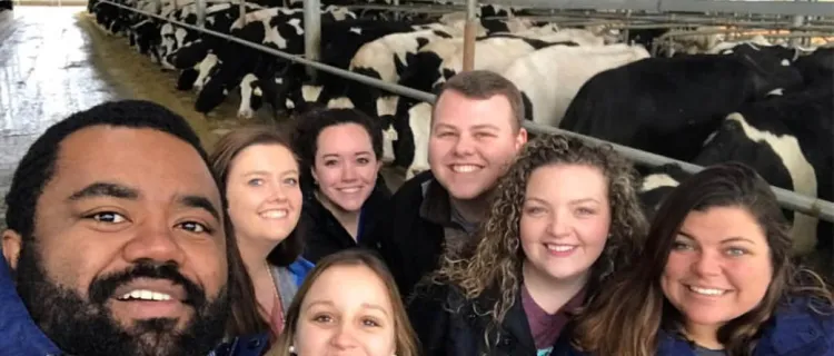 Dairy Club members visit dairy cows