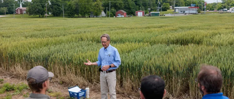 2025 Wheat Science Field Day was held at the UK Research and Educational Center at Princeton, Ky.