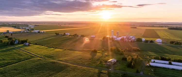 Aerial view of farm at sunset
