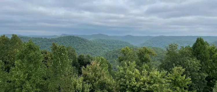 A view of Robinson Forest from the fire tower
