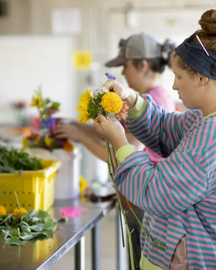 Students and Faculty harvest flowers on the UK Horticulture South Farm in preperation for the 2024 Wildcat Market on September 11th, 2024