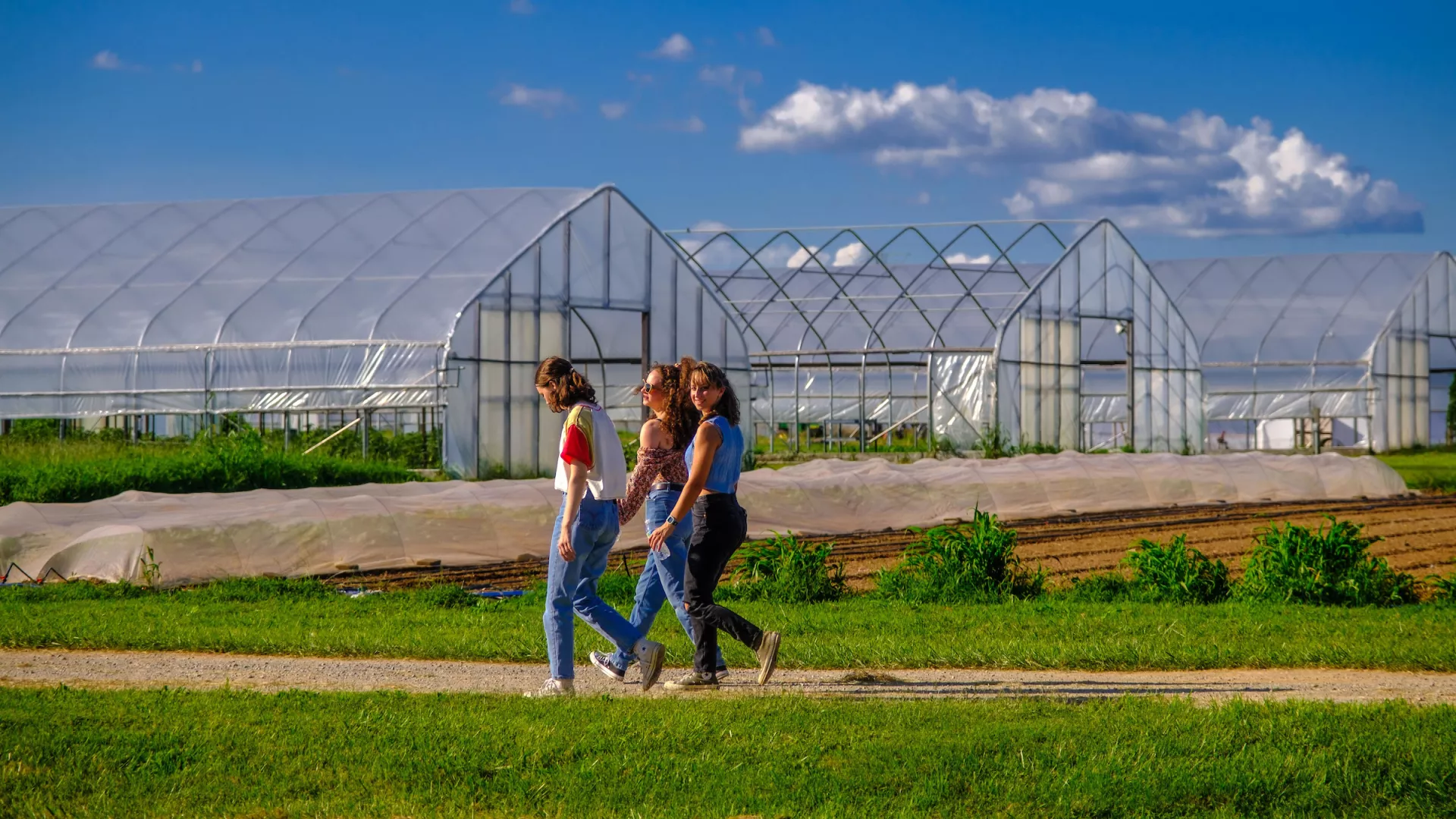 UK students in the CAFE Living Learning Program gather at the greenhouses at South Farm.