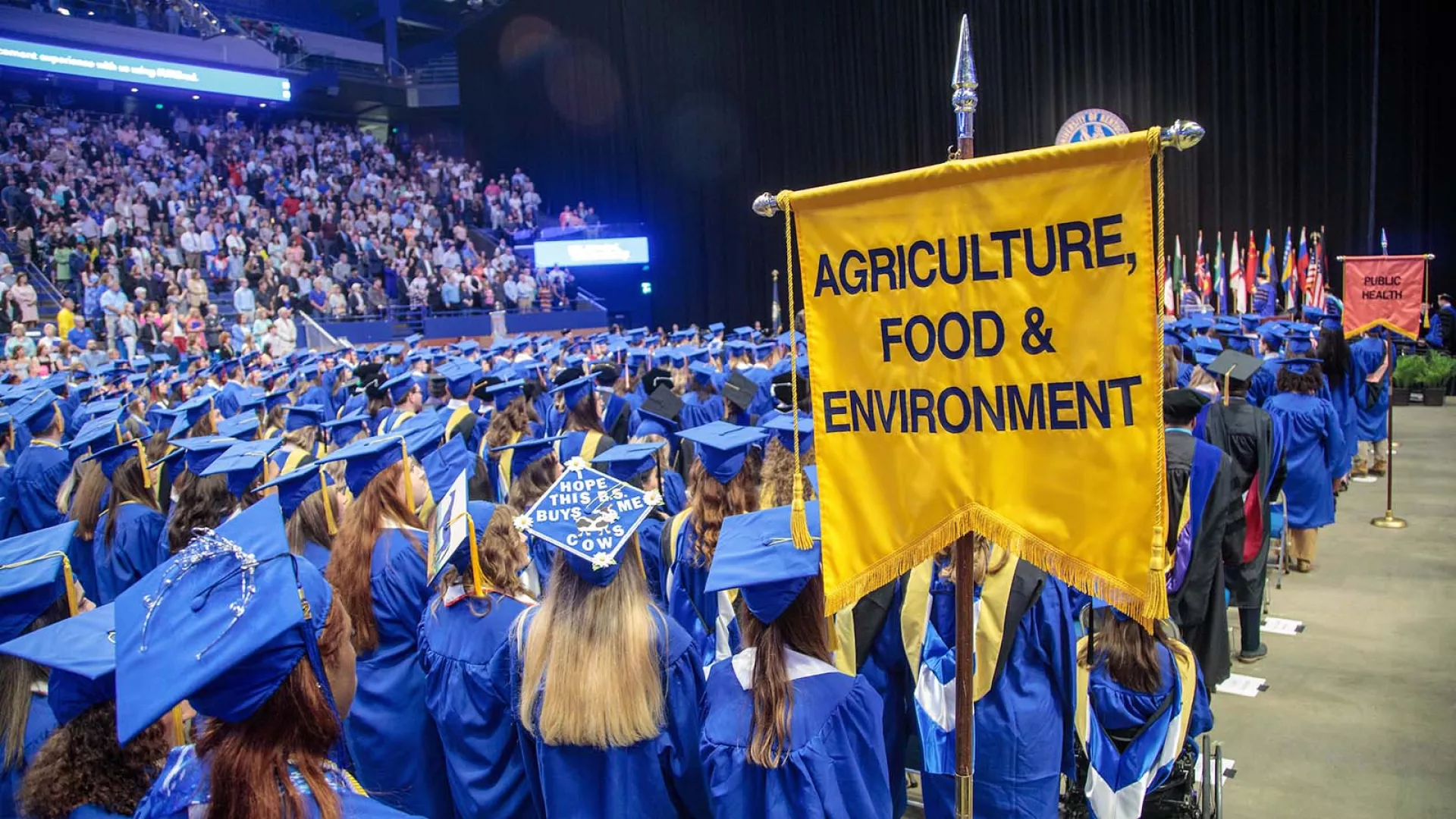 Grads stand at the 2022 commencement for the UK CAFE in Rupp Arena.