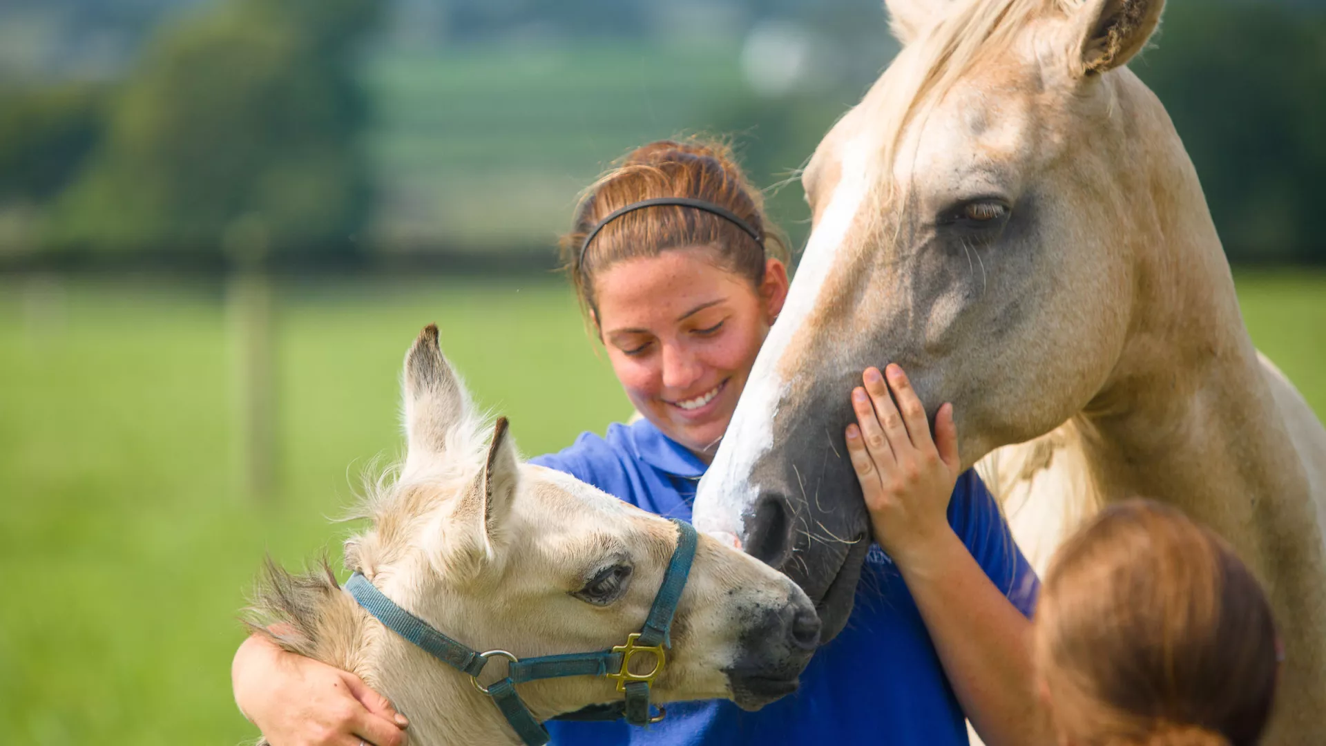Veterinary Science student Victoria Taylor holds a baby Palomino foal and mother in a pasture on Spindletop Farm.