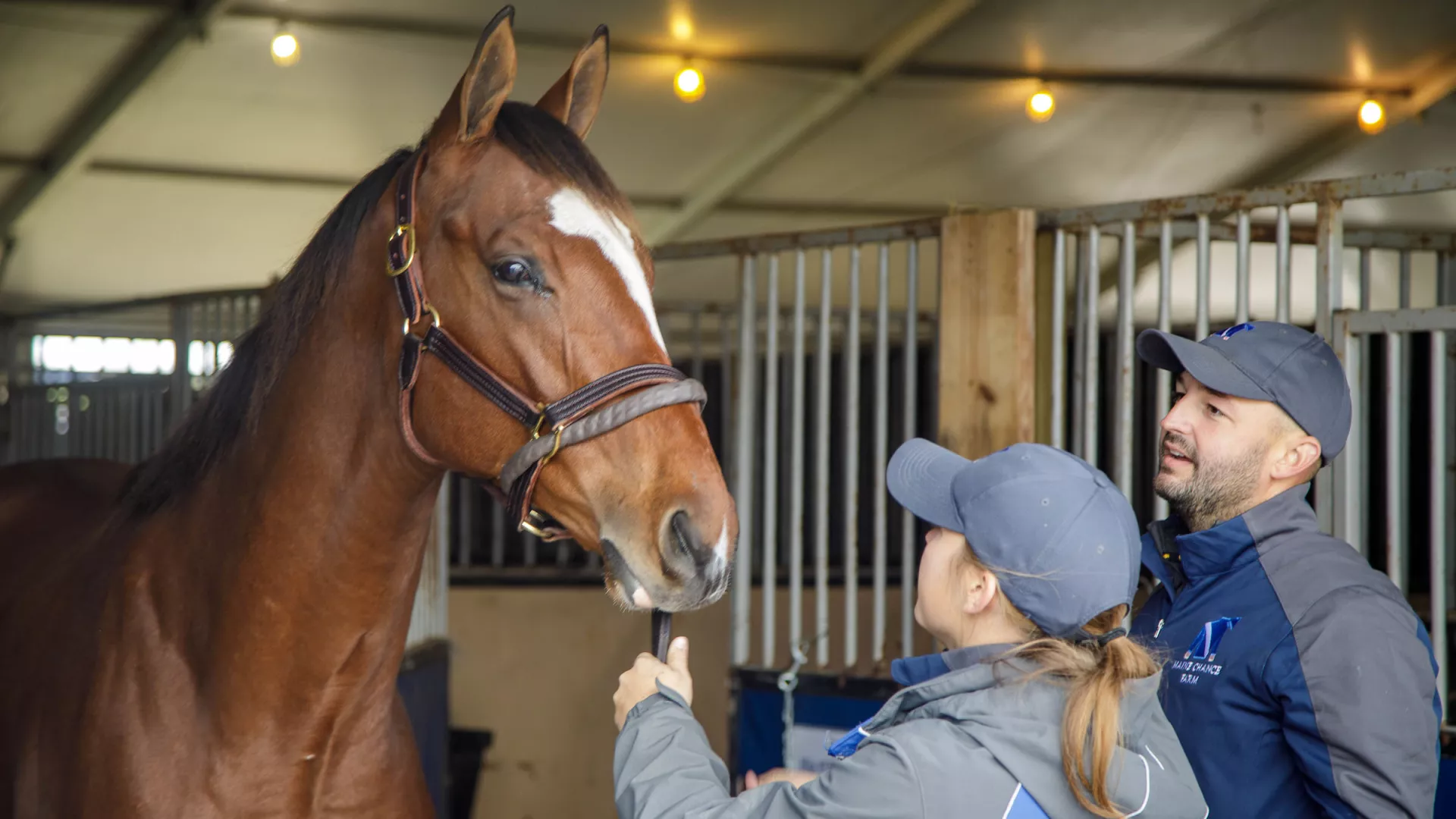 UK students prepare to show a bay colt out of Animal Kingdom/Lizzy Van Lew bred and sold by Maine Chance Farm at Fasig-Tipton.
