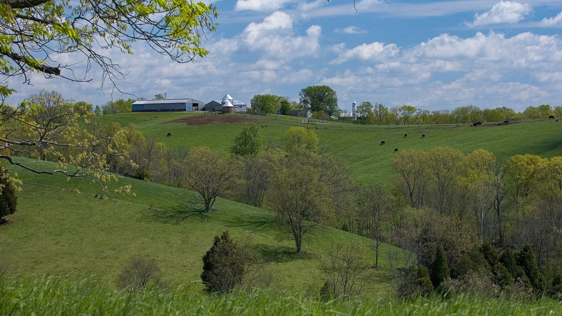 Fields at the Eden Shale Farm in Owenton, Kentucky.