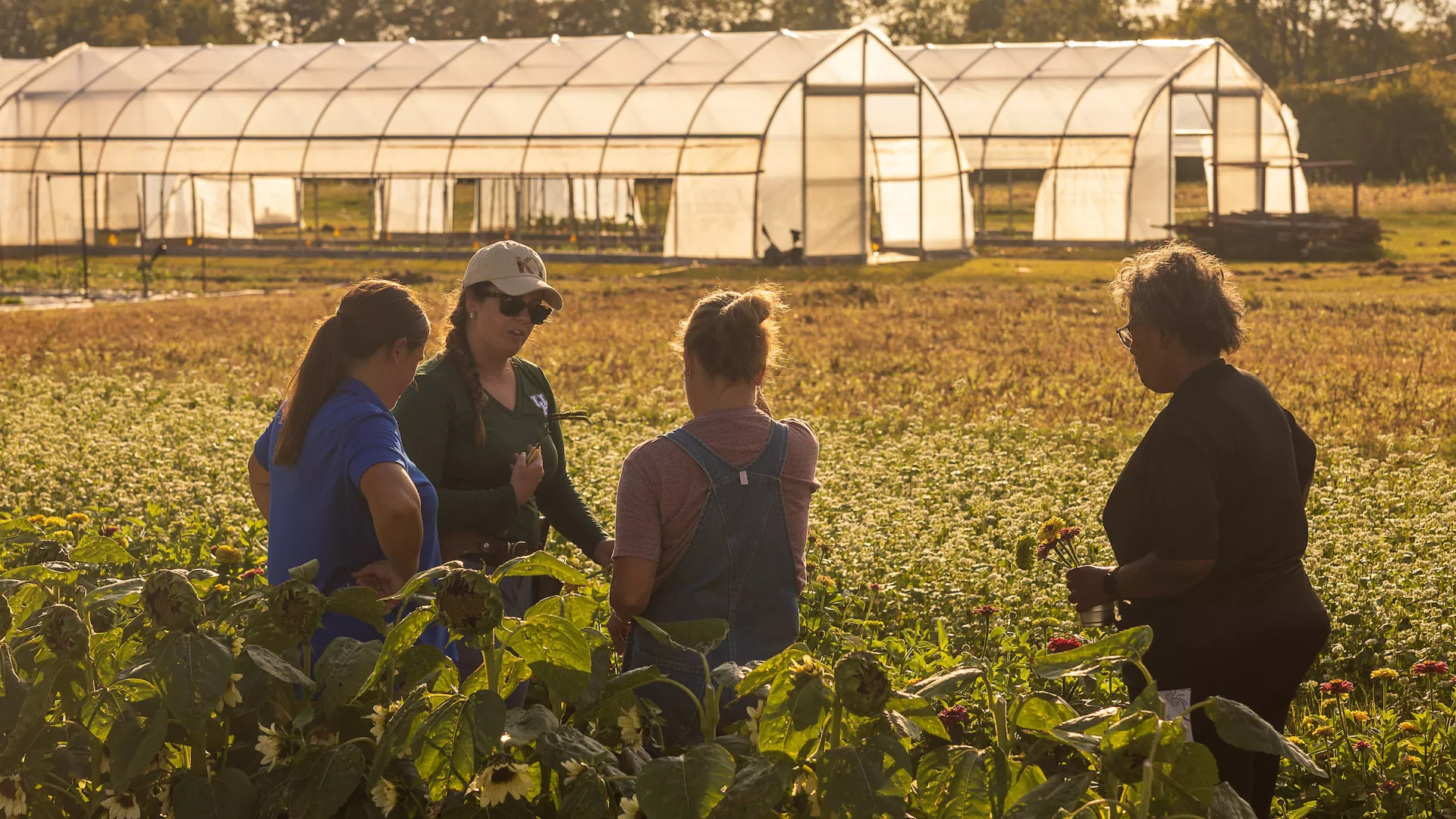 People work in a field on specialty crop day at the Horticulture Research Farm.