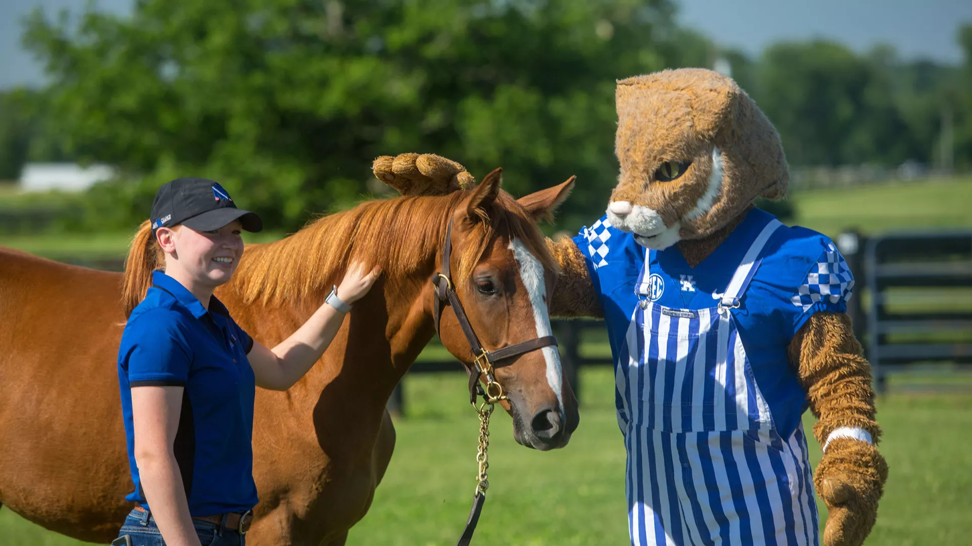 Equine Science and Management student with wildcat