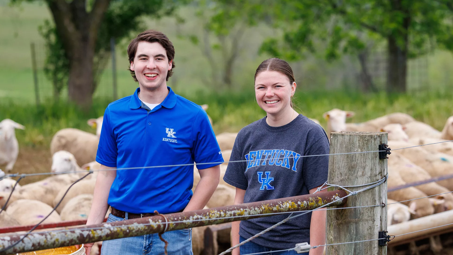 Animal Sciences