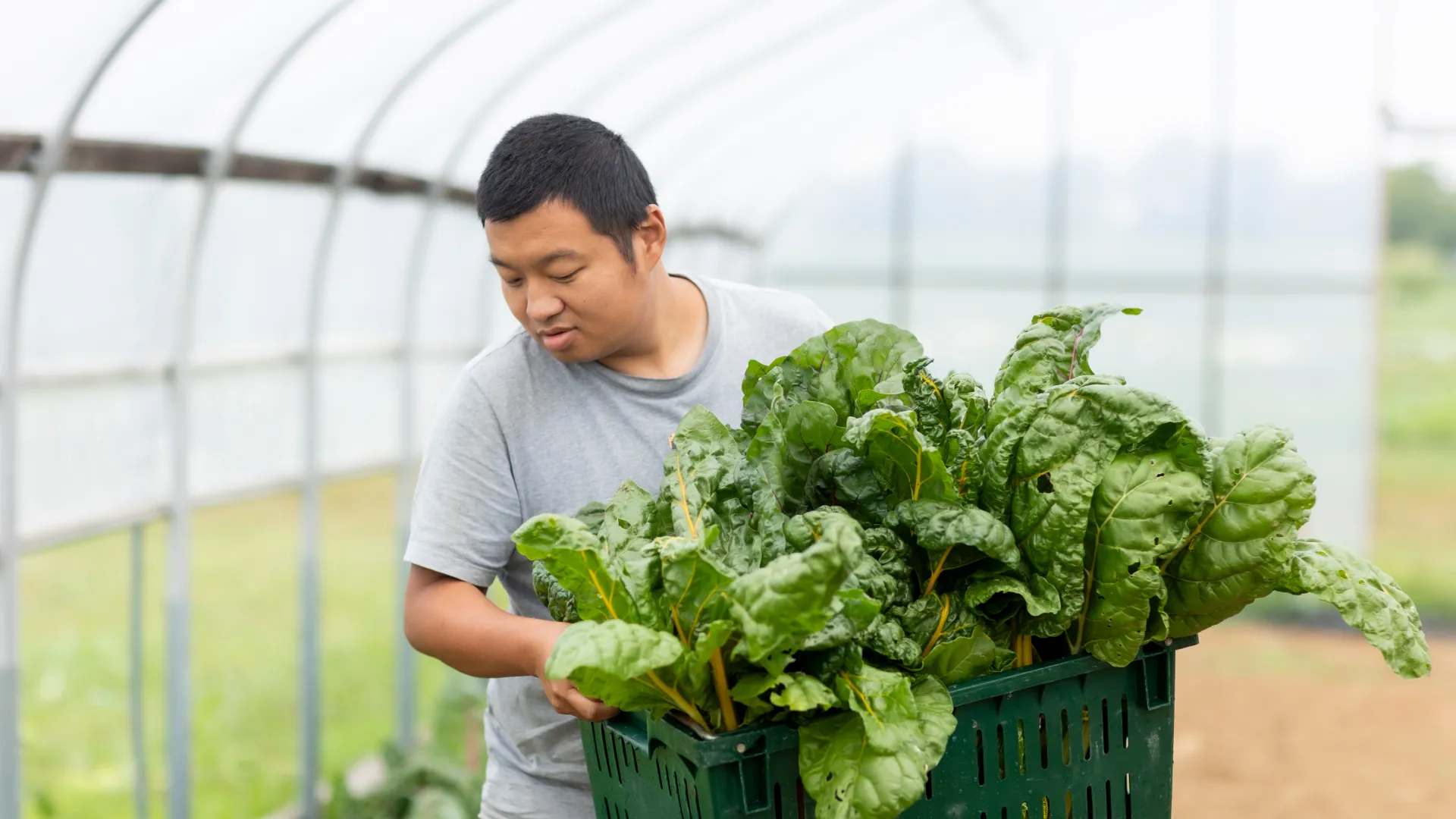 South Farm Students in the field with Faculty Instructor
