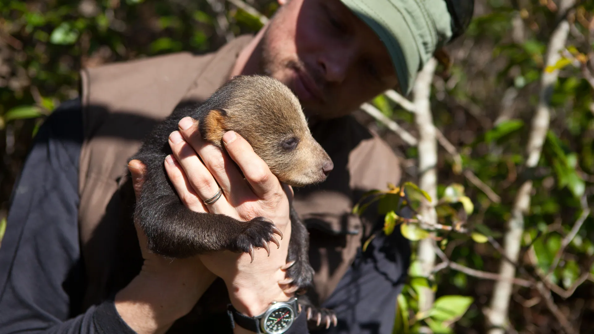 Man holding a bear cub