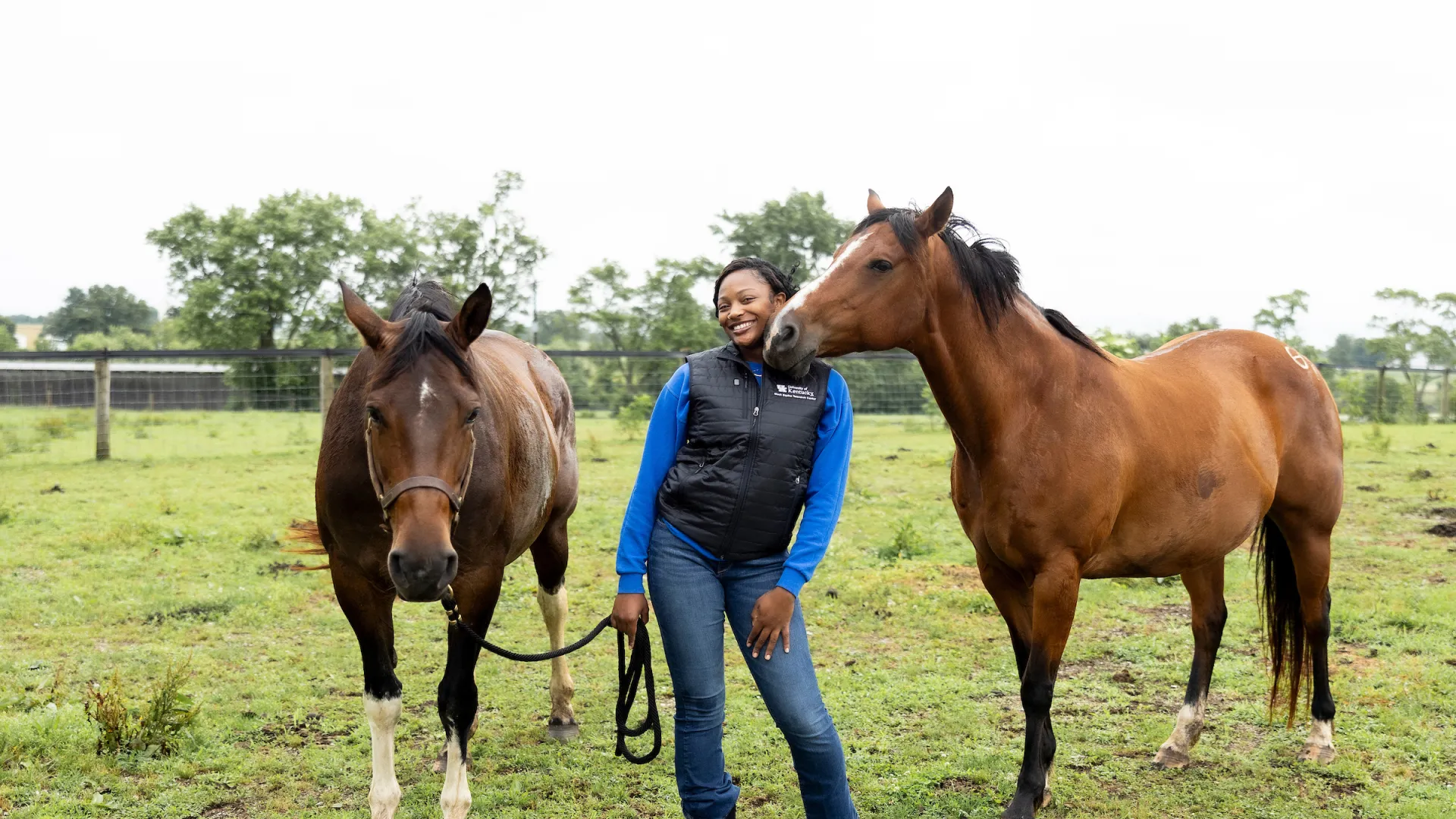UK Equine Science student Nijae Aklin participates in reproductive research with horses at the UK Maine Chance North Farm