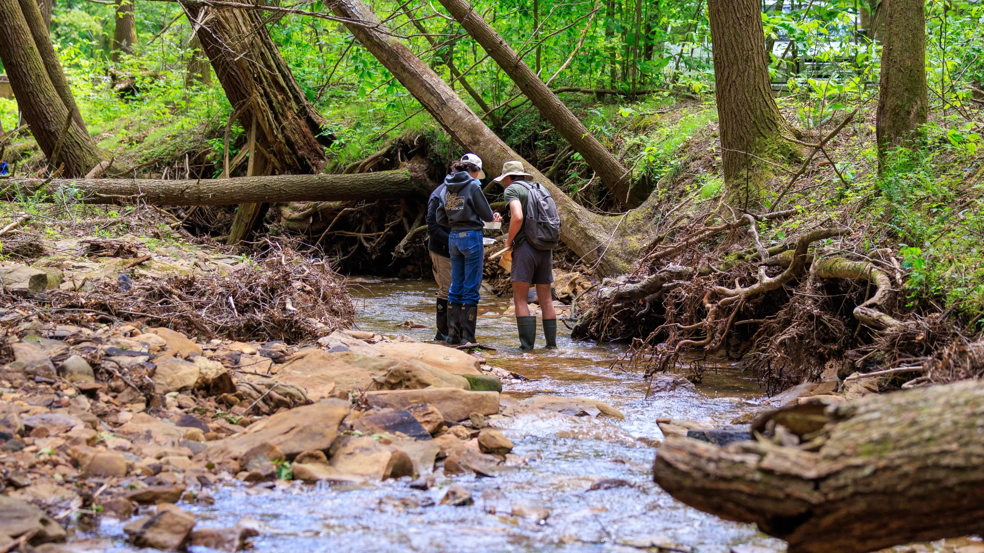 Aquatic Biologist Greg Pond led a group of NRES students in a creek survey inside Robinson Forest.