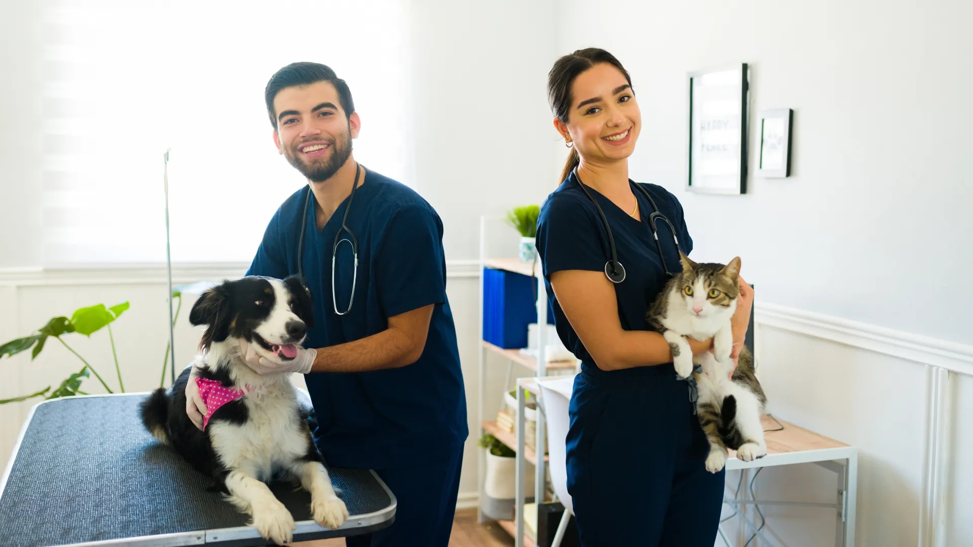 Students in vet lab