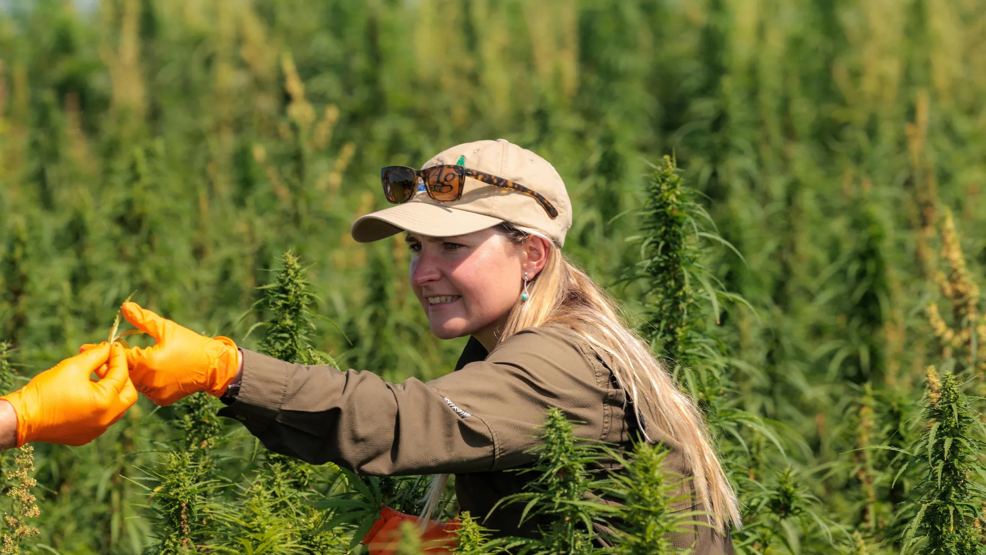 PLS grad student Magdalena Ricciardi speaks to Professor David McNear's AES 320 class in the hemp research plots at North Farm