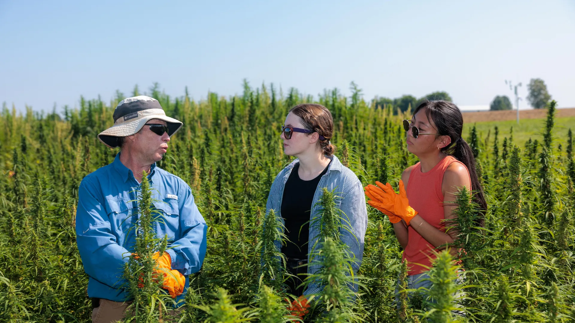Plant and Soil Science Extension Professor Bob Pearce speaks to Professor David McNear's AES 320 class in the hemp research plots at North Farm