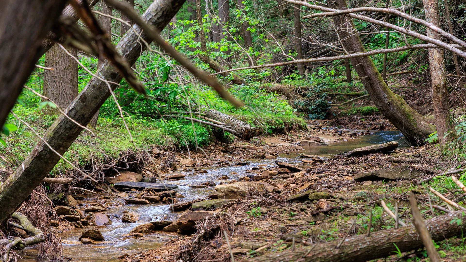 Aquatic Biologist Greg Pond led a group of NRES students in a creek survey inside Robinson Forest.