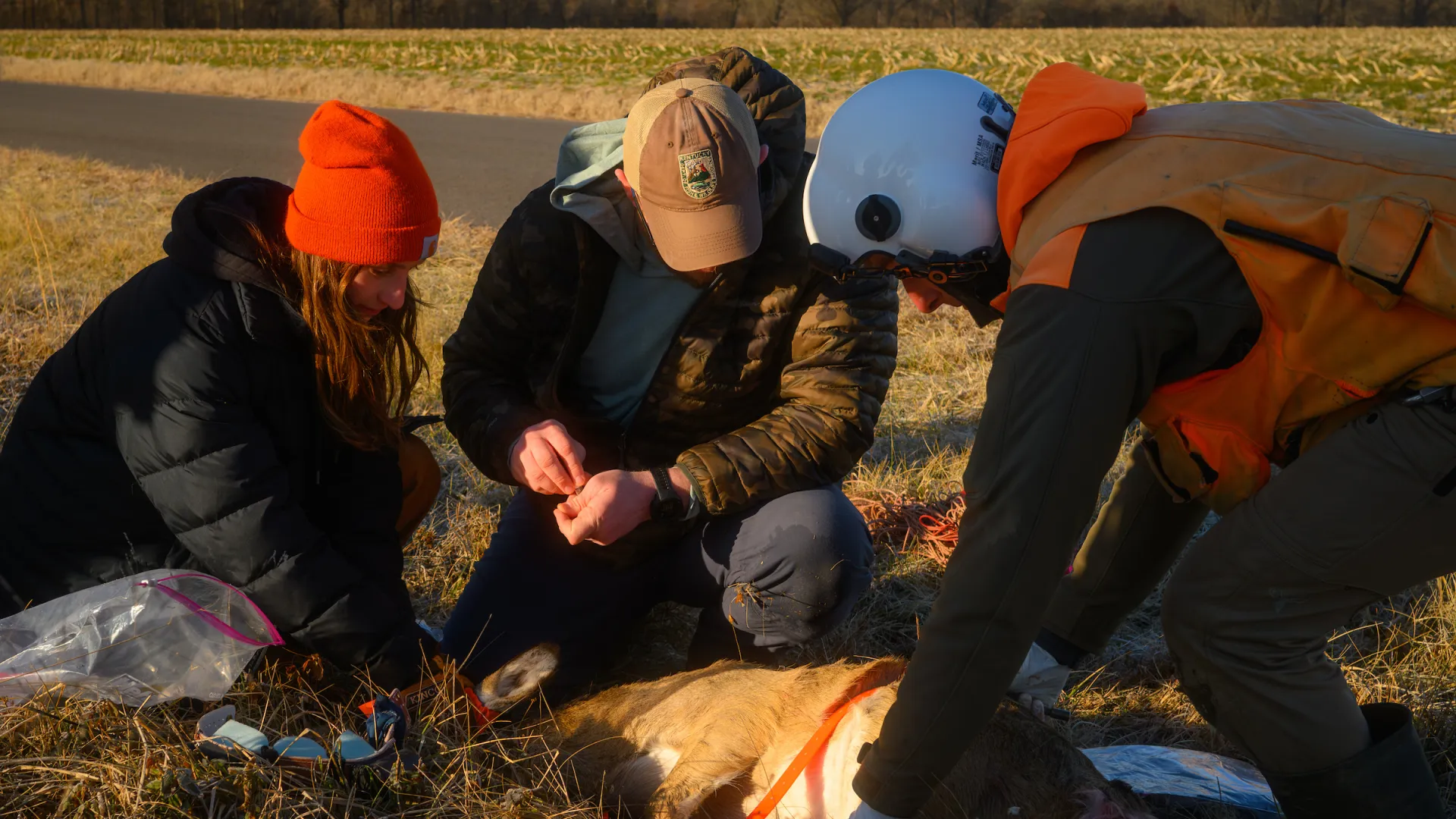Students research Chronic Wasting Disease in the field