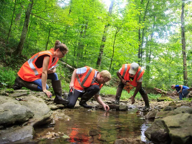 Natural Resources and Environmental Science students studying creek water