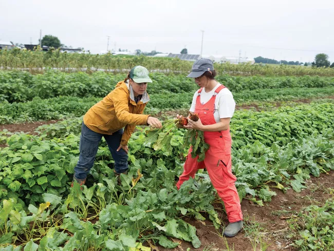 Sustainable Agriculture and Community Food Systems