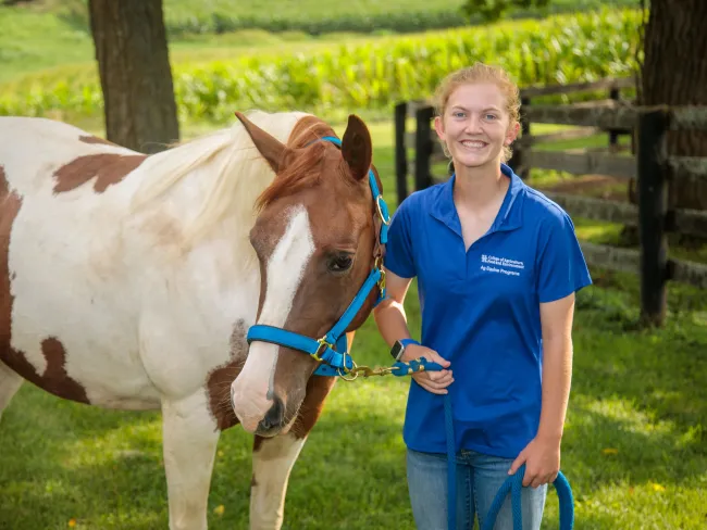 Aged Horse Research Center, Woodford Farm, summer UK Aged Horse Research Center Staff