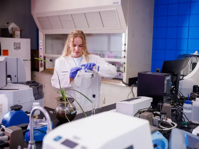 Dr. Tiffany Messer in her lab