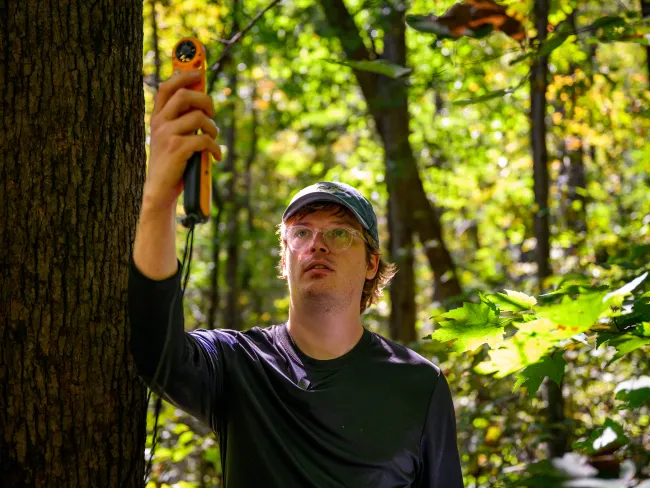 William Taylor, a field technician at UK's Robinson Forest, surveys salamanders as part of a capture-mark-recapture study. The project, overseen by Dr. Steve Price, assesses salamander abundance and density in the forest and is part of the ongoing Adaptive Silviculture for Climate Change (ASCC) initiative. Taylor measures, weighs, and tattoos each salamander with unique UV-reactive markings.