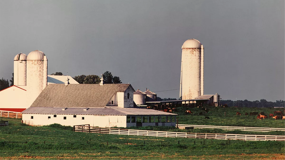 The Gatton farm