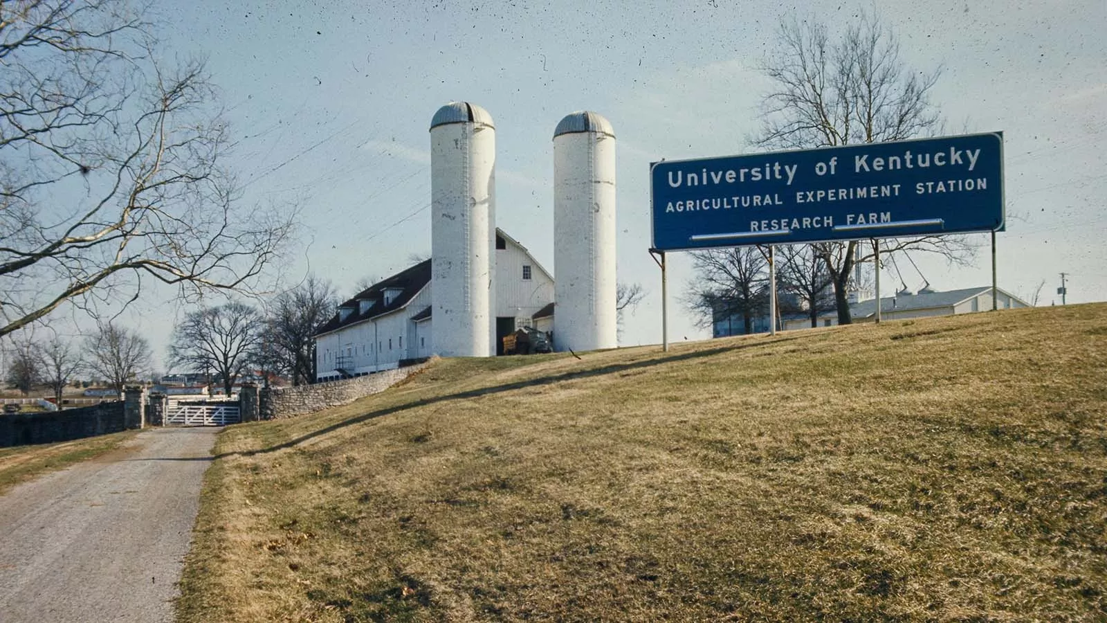 The entrance to Coldstream farm in the late 1960s.