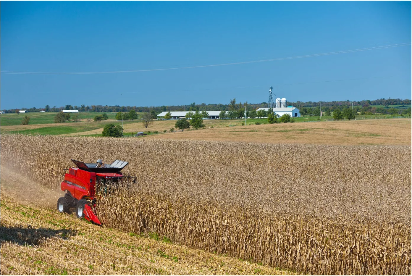A field of crops at the C. Oran Little Research Center