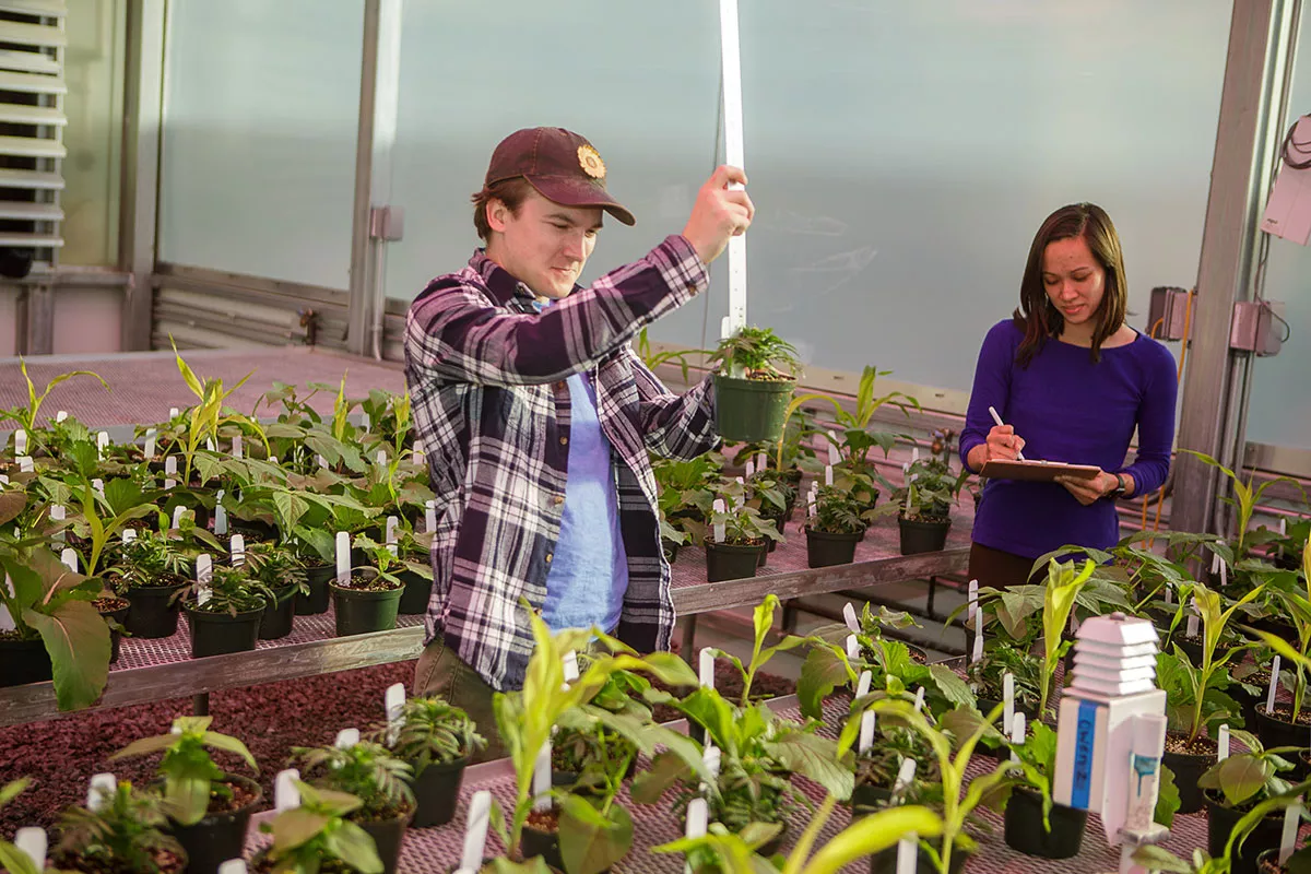 Horticultural Science