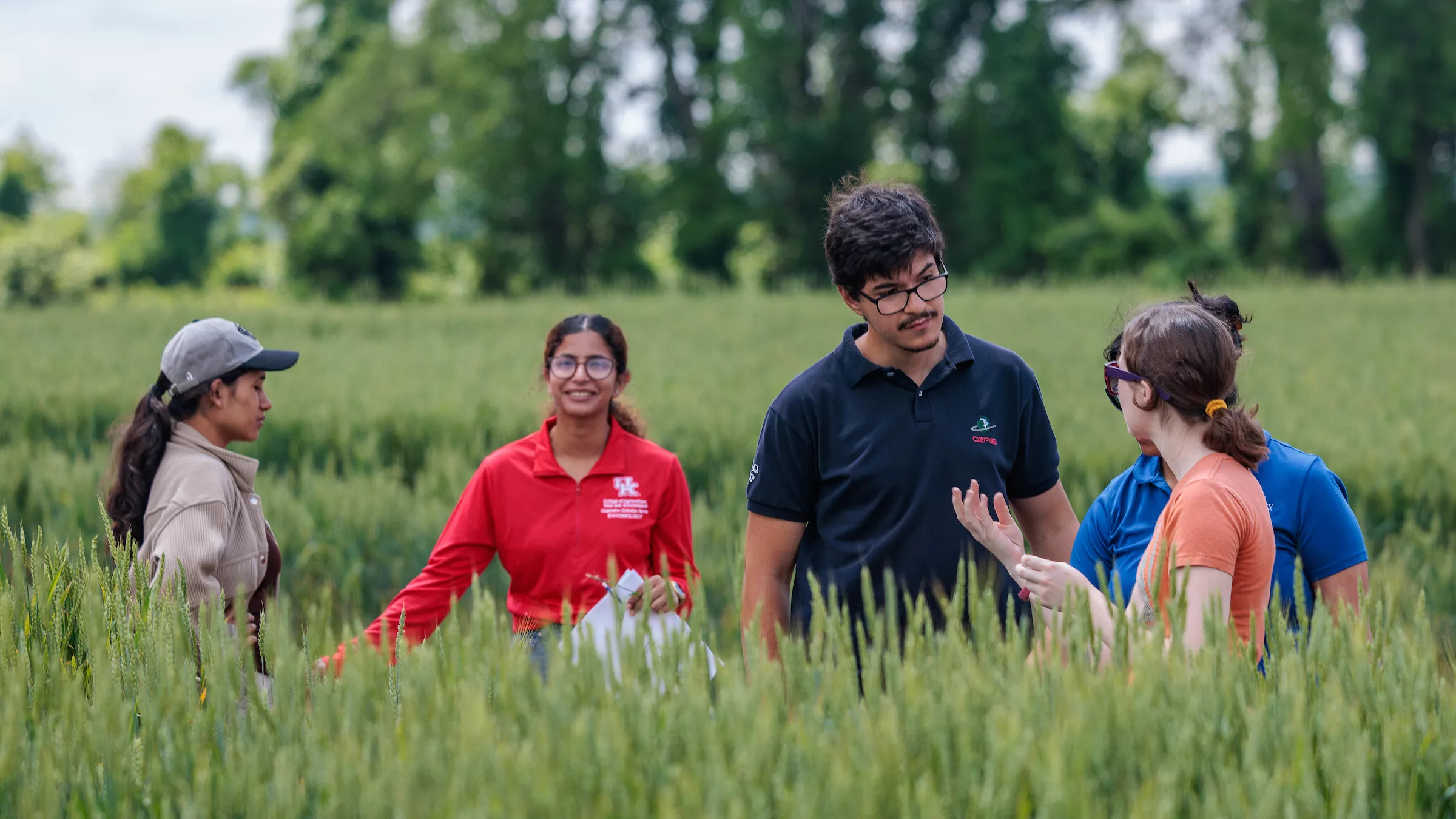 Participants learn in a field for Wheat Science Field Day