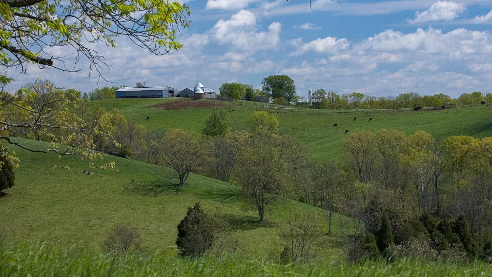 Fields at the Eden Shale Farm in Owenton, Kentucky.