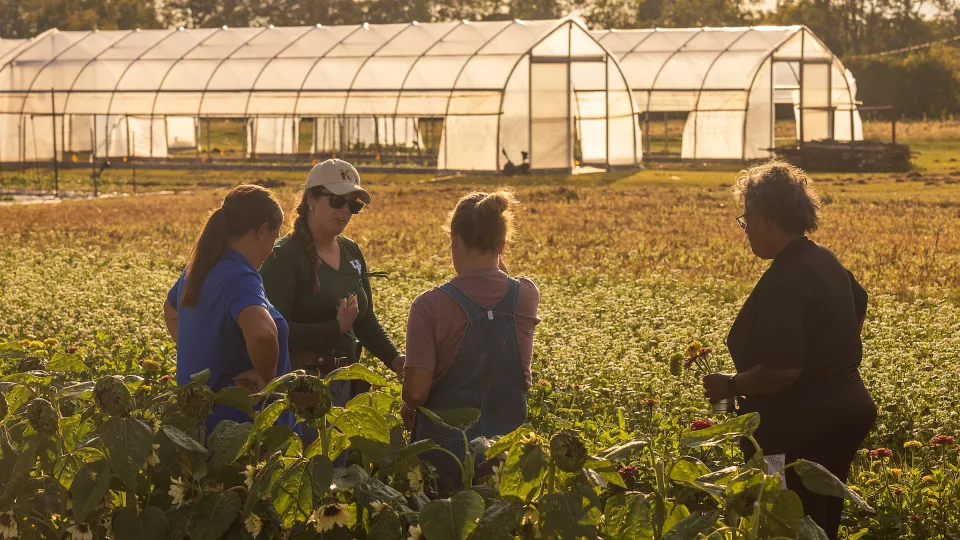 People work in a field on specialty crop day at the Horticulture Research Farm.