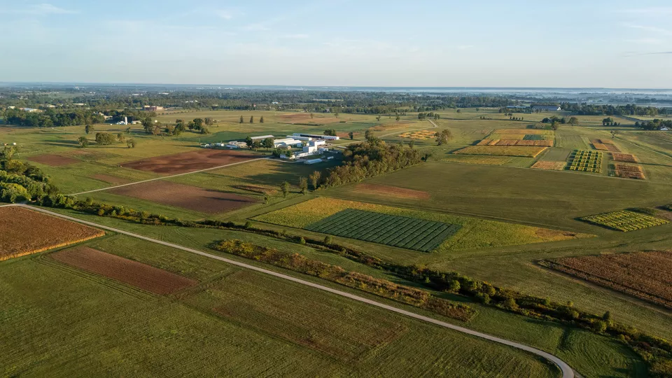 Aerial view of North Farm research plots in early fall