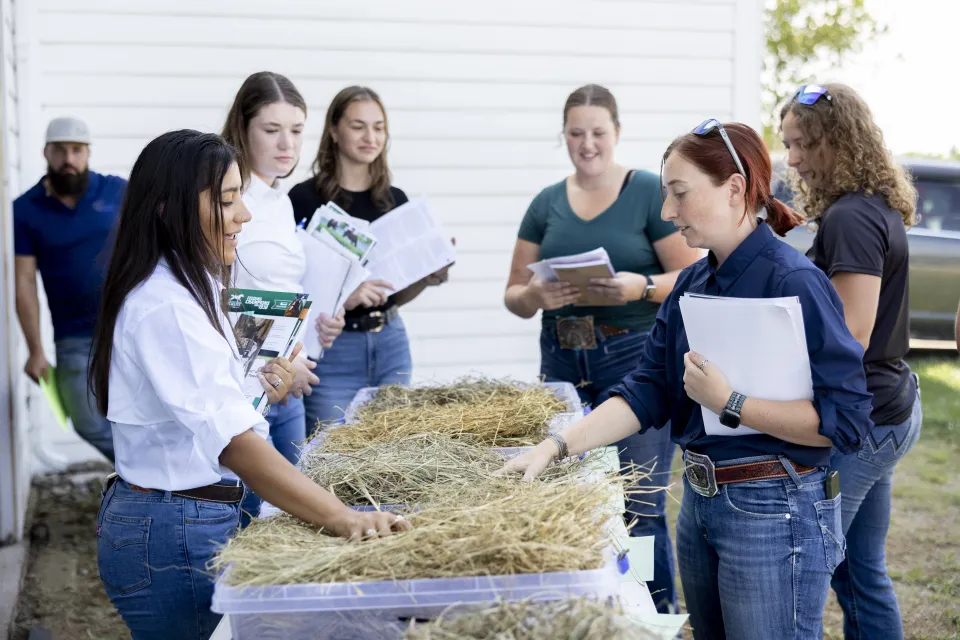 2025 Equine Field Day at Endeavor Farm on Monday June 23rd, 2025
