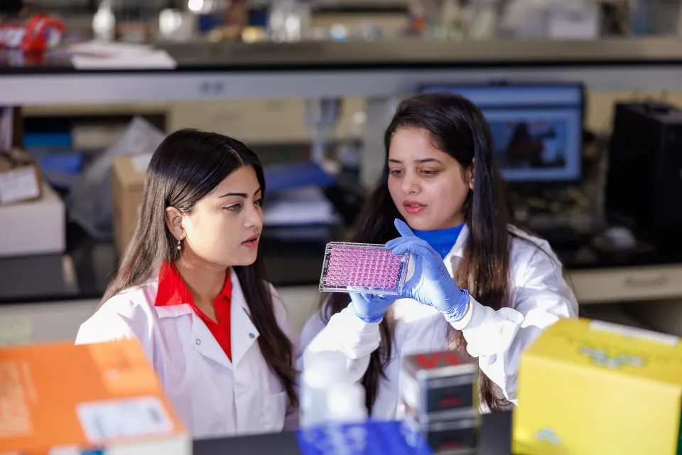 Kripa Gripa and Shalini Soni worked in Dr. Feng Li's lab in the Gluck Equine Research Building.
