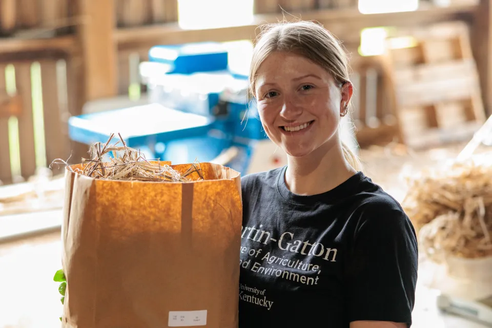 Hemp, Industrial Hemp Research, North Farm, Production Agriculture, Spindletop Farm, agriculture products, farm production, farm products Hannah Kegley of the UK Industrial Hemp Research team processed dryed hemp into usable fiber on North Farm.