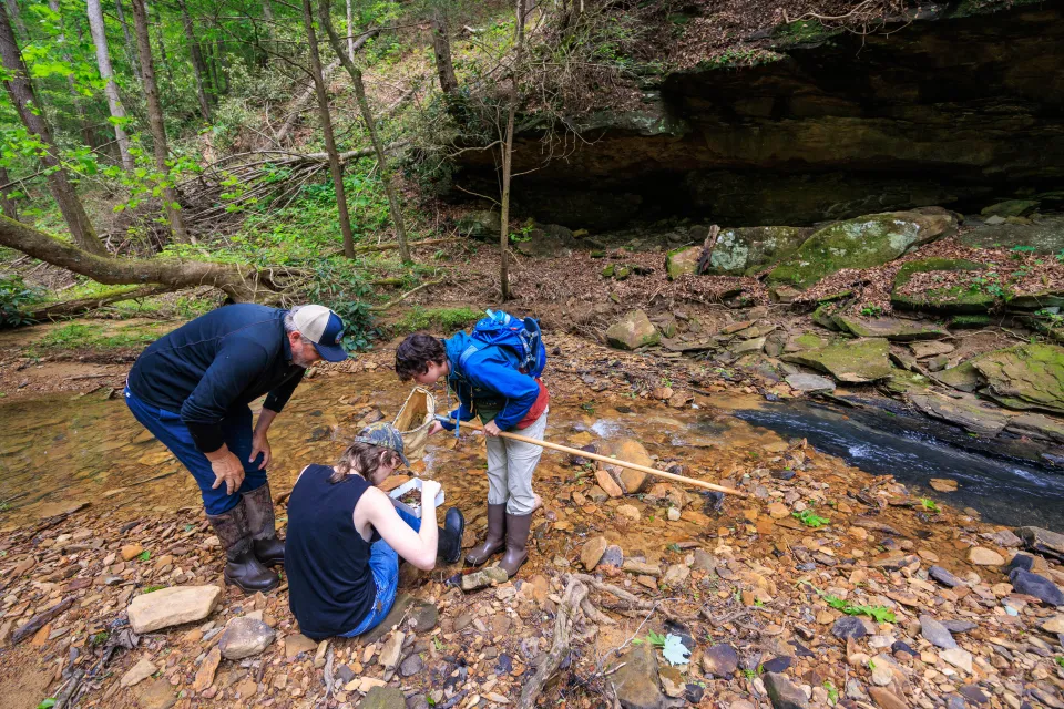 Forestry professor Chris Barton worked with a group of NRES students in a creek survey inside Robinson Forest.