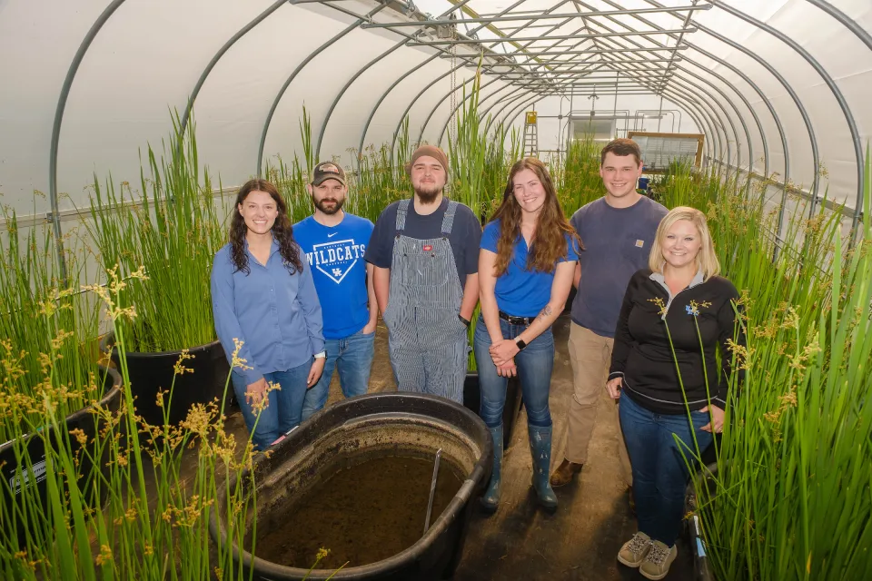 Dr. Tiffany Messer's research team grows tubs of plants to trace contaminants in water