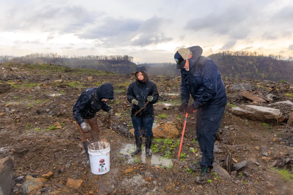 Forestry students work with Dr. Chris Barton planting trees on a strip mine outside Vicco, Ky.