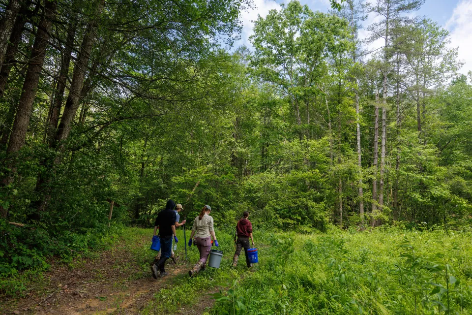 Students capture snakes in Robinson Forest for Dr. Steven Price’s study on Snake Fungal Disease