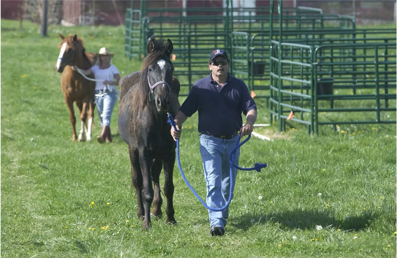 A person walks with a horse