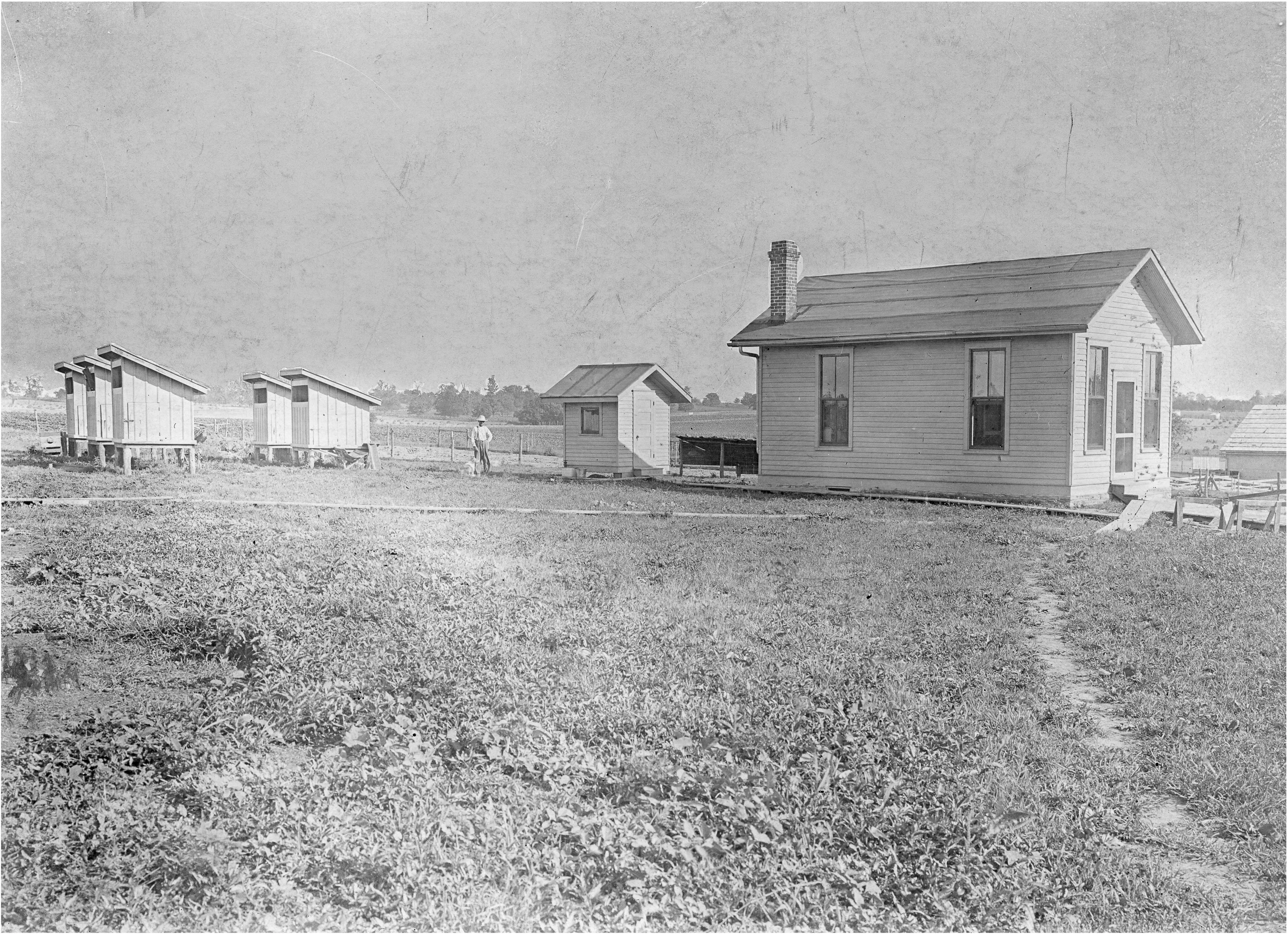 1910 laboratory where hog cholera protective serum was made