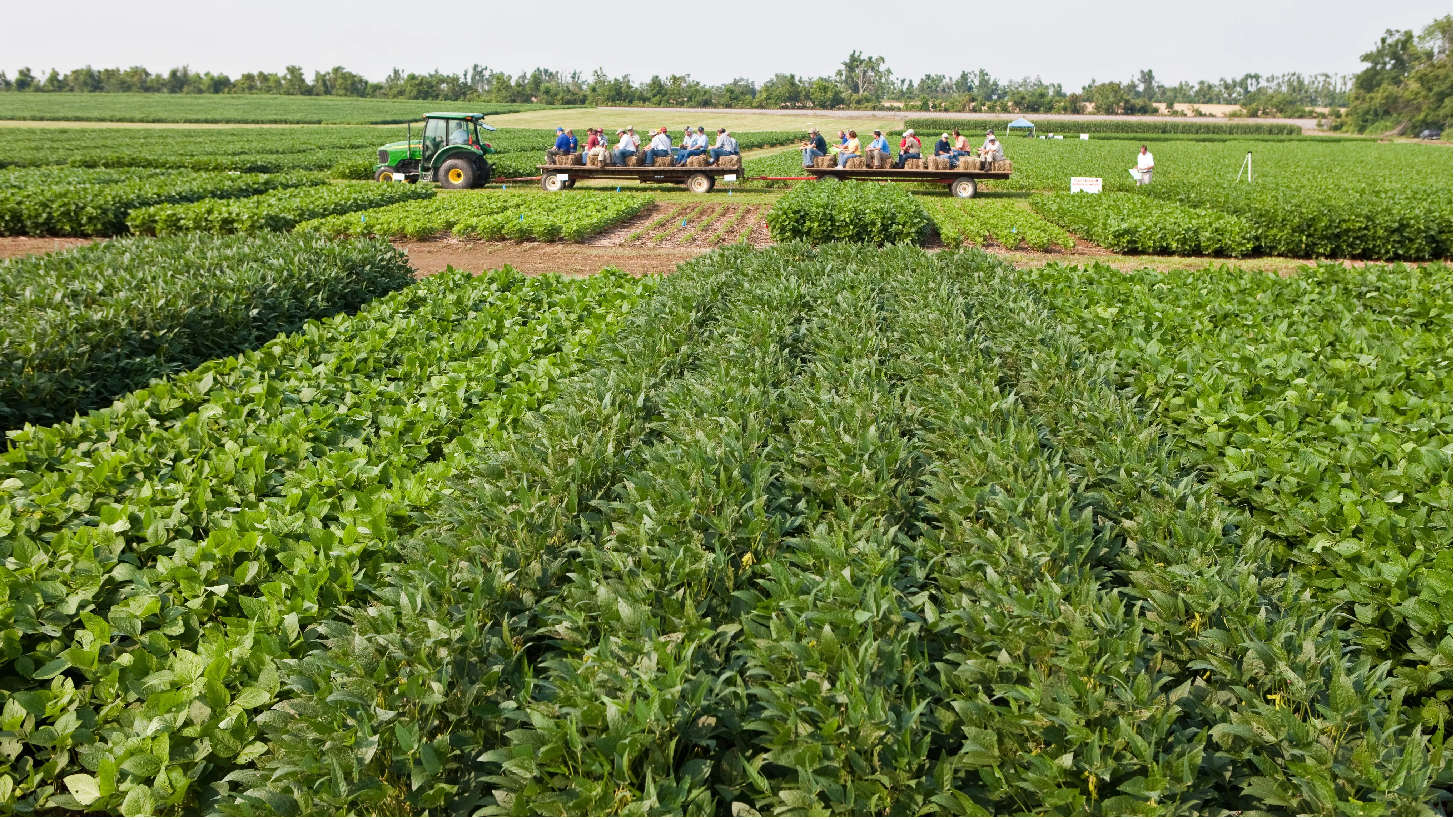 A group of people ride a tractor through a farm